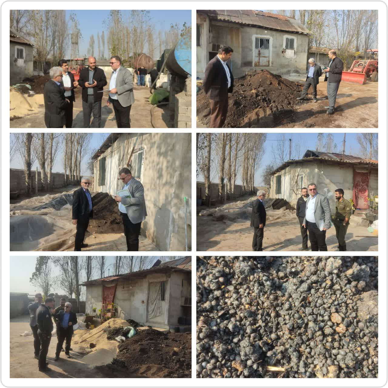 کشف و ضبط 40 تن خوراک دام فاسد در يک واحد مرغداري بابل