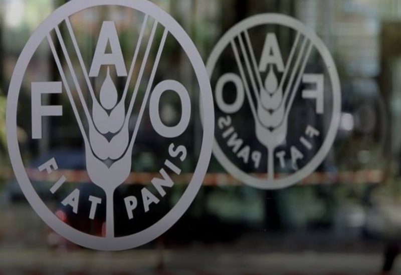 کاهش قیمت جهانی مواد غذایی برای سومین ماه متوالی