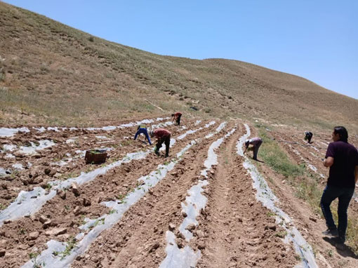 حفاظت از خاک، خط قرمز سازمان جهاد کشاورزي آذربايجان شرقي