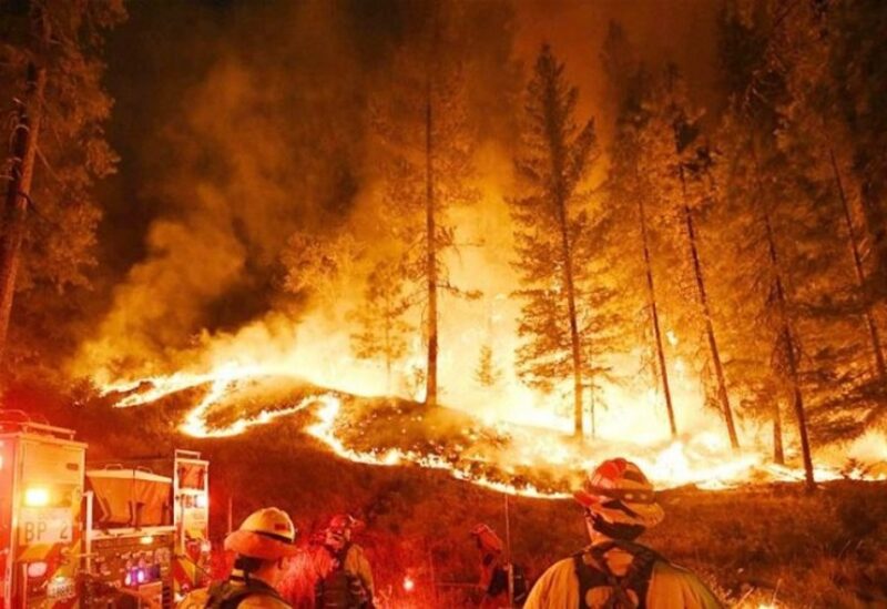 آتش‌سوزی جنگل‌ها در استرالیا؛ تخریب هزاران هکتار و هشدار تخلیه برای ساکنان