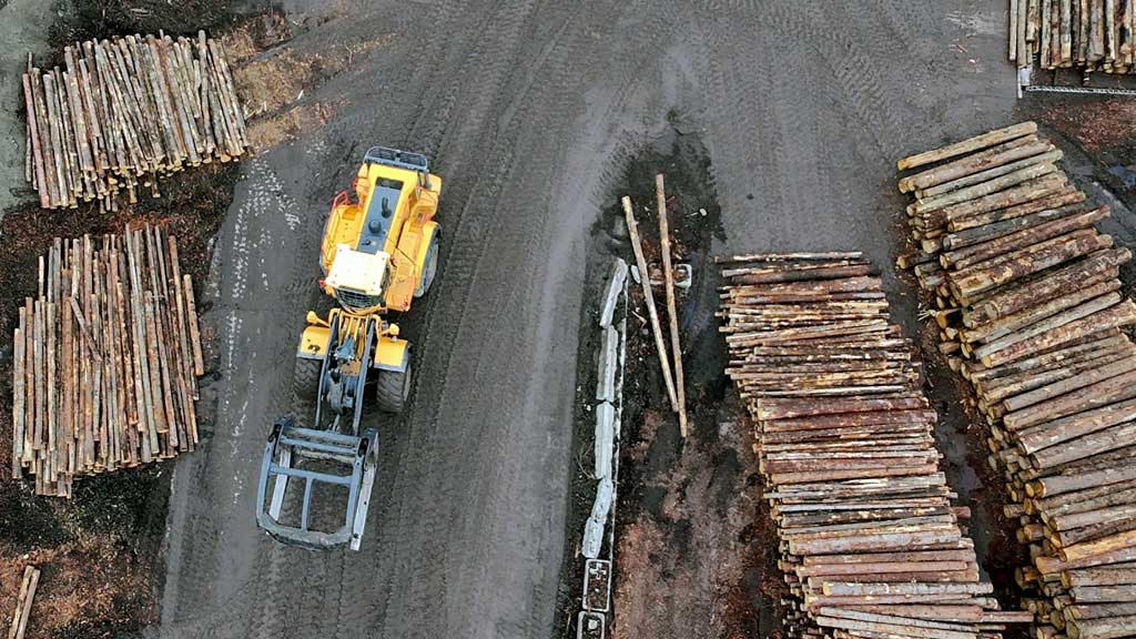 Trump sets 10% tariff on lumber imports, 25% on cabinets and furniture