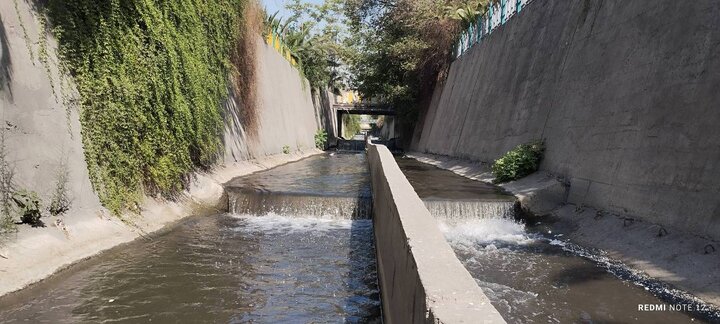 پاکسازي گسترده مسيل‌هاي منطقه 8