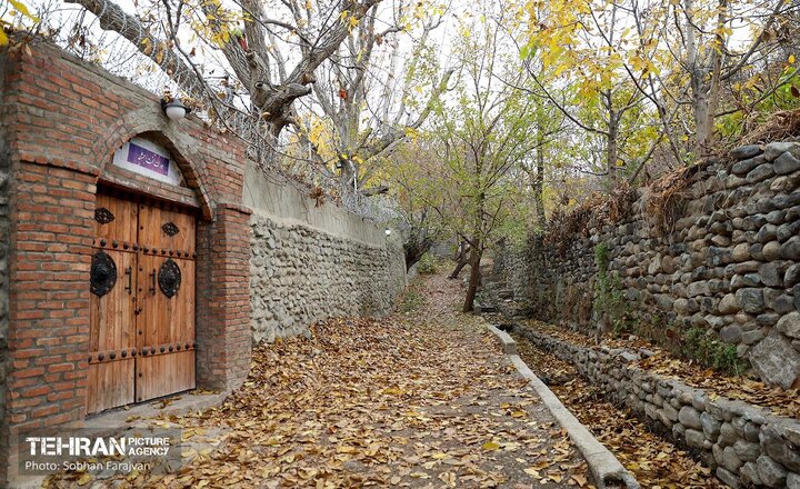 تملک باغات جدید در پایتخت برای ساخت بوستان/ احداث بوستان بالغ بر 2.2 هکتاری محله علی‌آباد جنوبی در مرحله اجرا