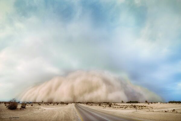 گرد و خاک در غرب و البرز/ تلاطم در آب‌های خلیج فارس و خزر
