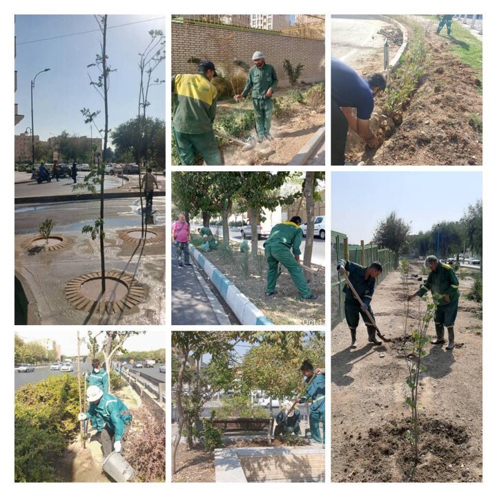 اجراي طرح گسترده کاشت درخت و گل در معابر پرتردد منطقه 20