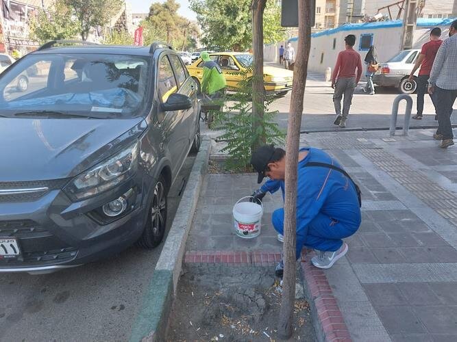 پاکسازي نقاط آلوده منطقه 8 با انسداد بيش از 100 کلوني جانوران مضر