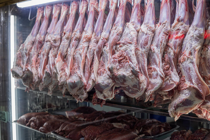 توزیع روزانه بیش از 60 تن گوشت منجمد در میادین و بازارهای میوه و تره‌بار