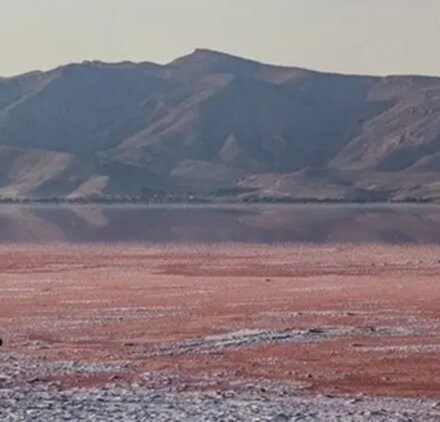 خبرگزاری آریا