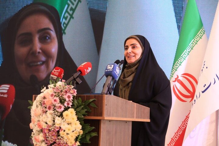 کریدور شمال غرب-جنوب غرب کشور تا پایان دولت چهاردهم تکمیل می شود