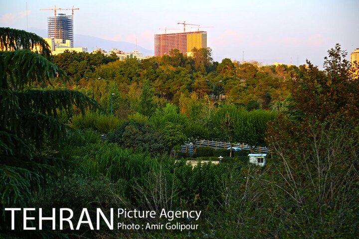 یک فوریت طرح جامع فضای سبز شهر شهر تهران تصویب شد