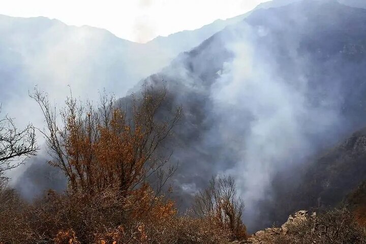 48 آتش‌نشان تهرانی در ارتفاع 2500 متری/ عملیات لوله‌کشی کیلومتری برای مهار آتش در جنگل‌های الیت