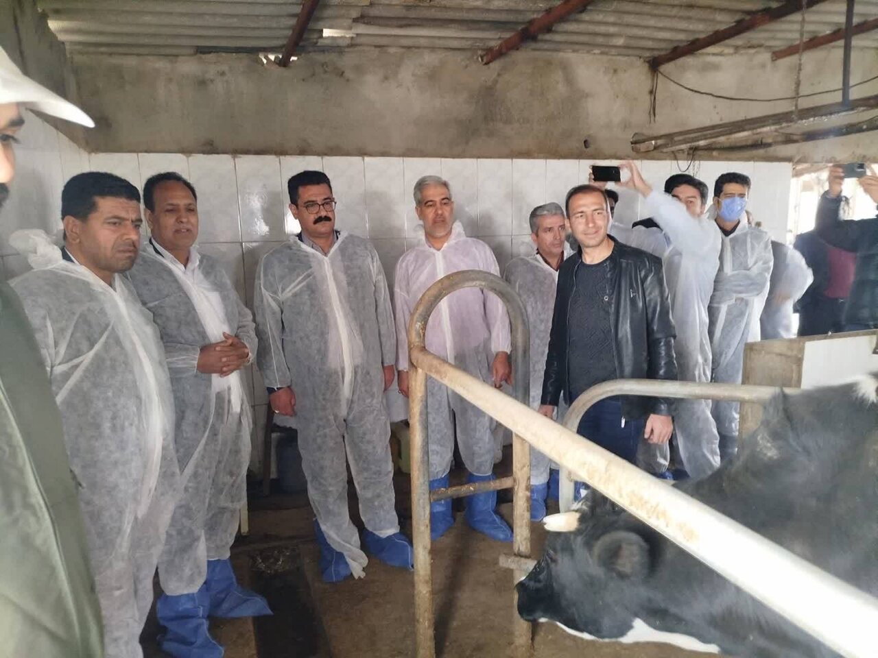 واکسيناسيون رايگان دام‌هاي شهرستان‌هاي حوزه انتخابيه آغاز شد / بر سر منافع دامداران با هيچ‌کس تعارف نداريم