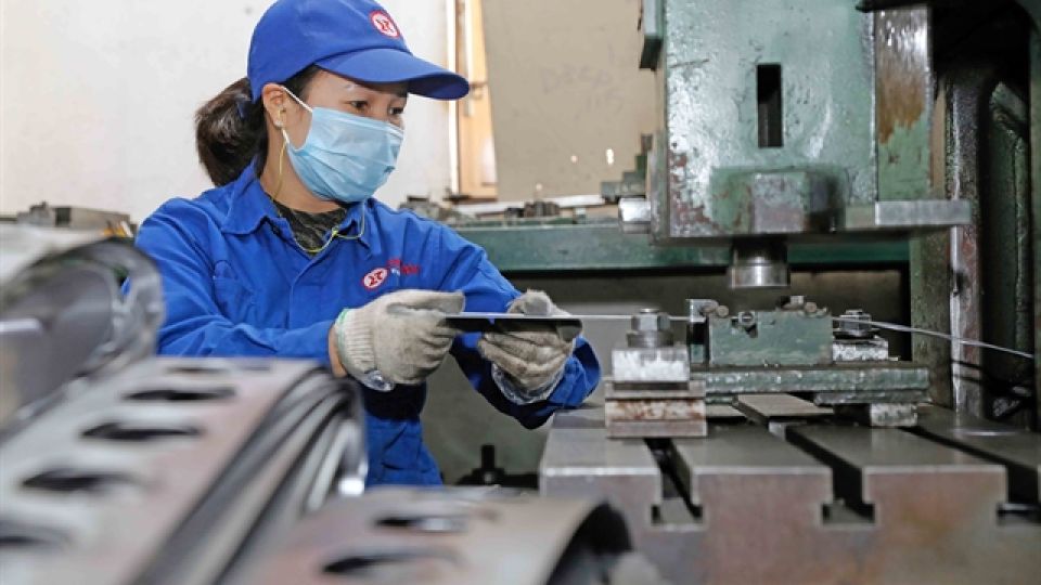 Vietnam’s economy set to maintain solid recovery through 2026–2027: OECD