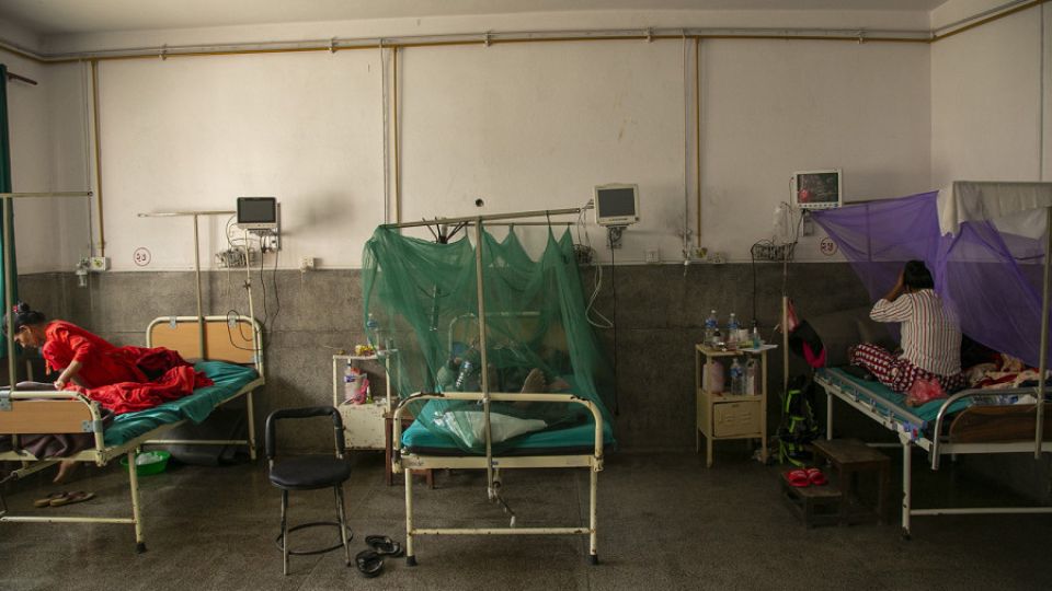 Dengue cases down, but virus widespread across Nepal