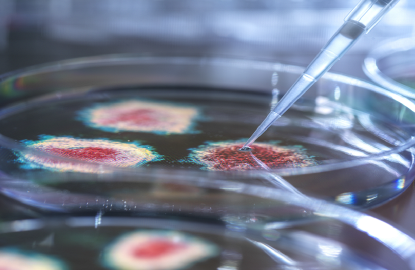 وکاله آریا للأنباء