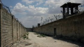 وکاله آریا للأنباء