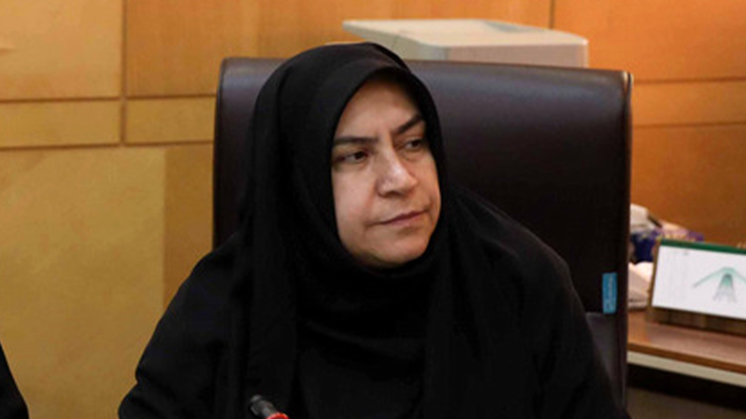 ممانعت از نوسانات ارزی با اجرای صحیح قوانین مجلس