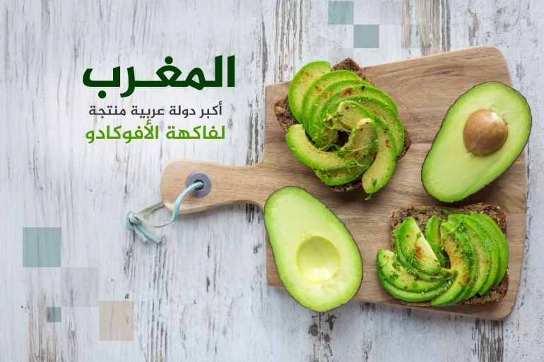 وکاله آریا للأنباء