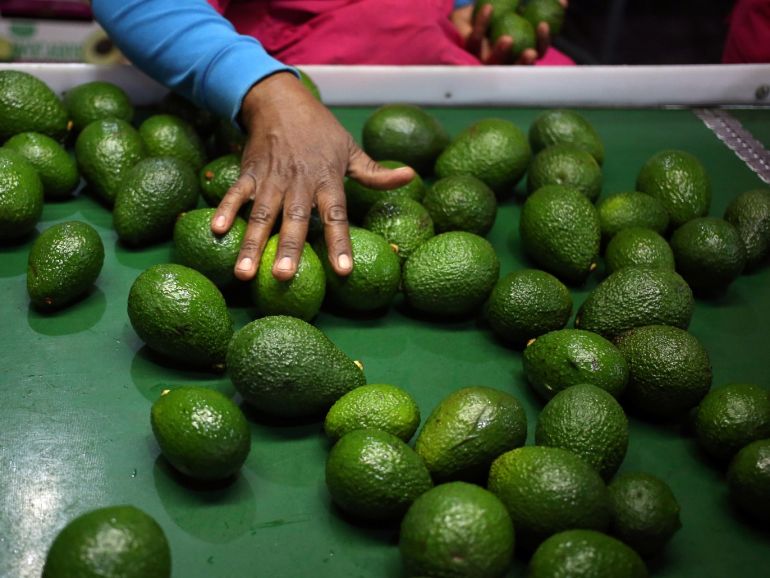 وکاله آریا للأنباء