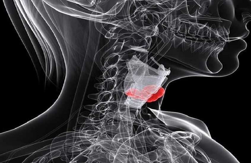 وکاله آریا للأنباء