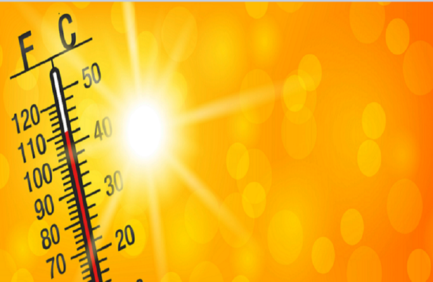 وکاله آریا للأنباء