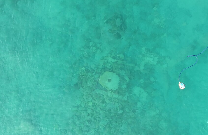 وکاله آریا للأنباء