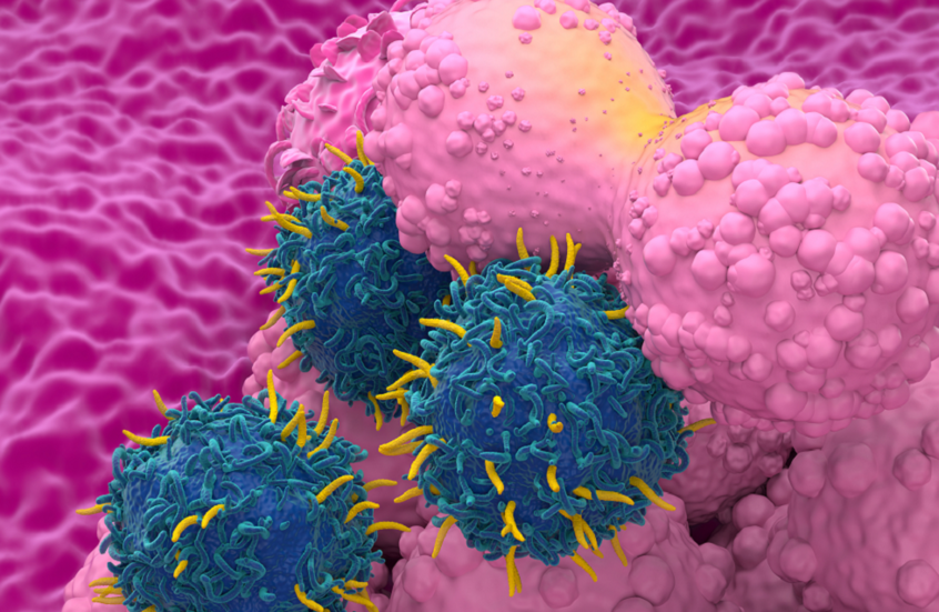 وکاله آریا للأنباء