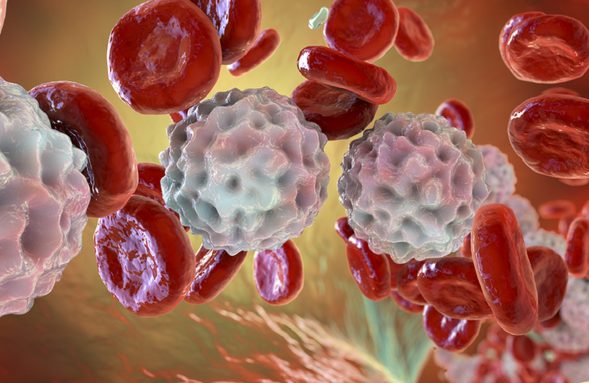 وکاله آریا للأنباء