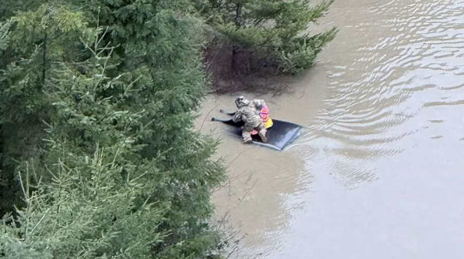 وکاله آریا للأنباء