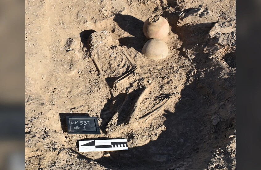 وکاله آریا للأنباء