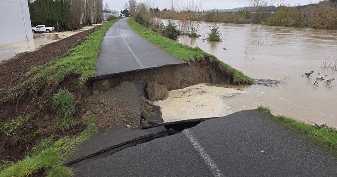 وکاله آریا للأنباء