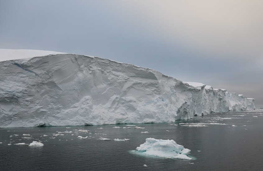 وکاله آریا للأنباء