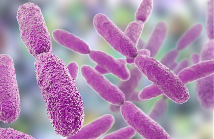 وکاله آریا للأنباء