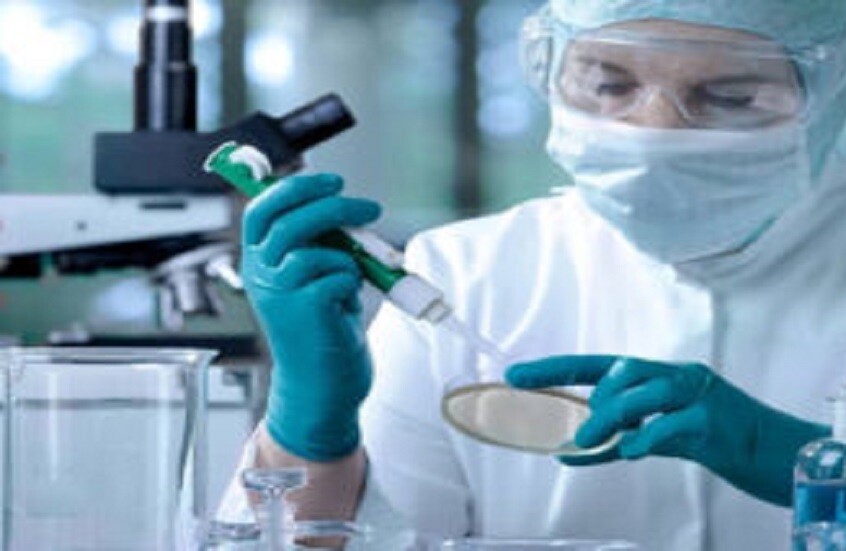 وکاله آریا للأنباء