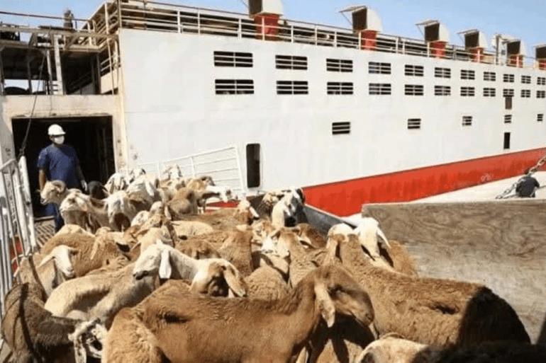 وکاله آریا للأنباء